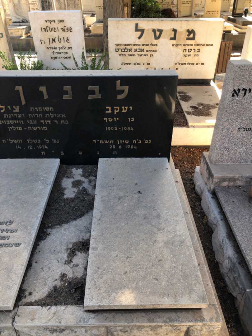 קברו של יעקב לבנון. תמונה 1