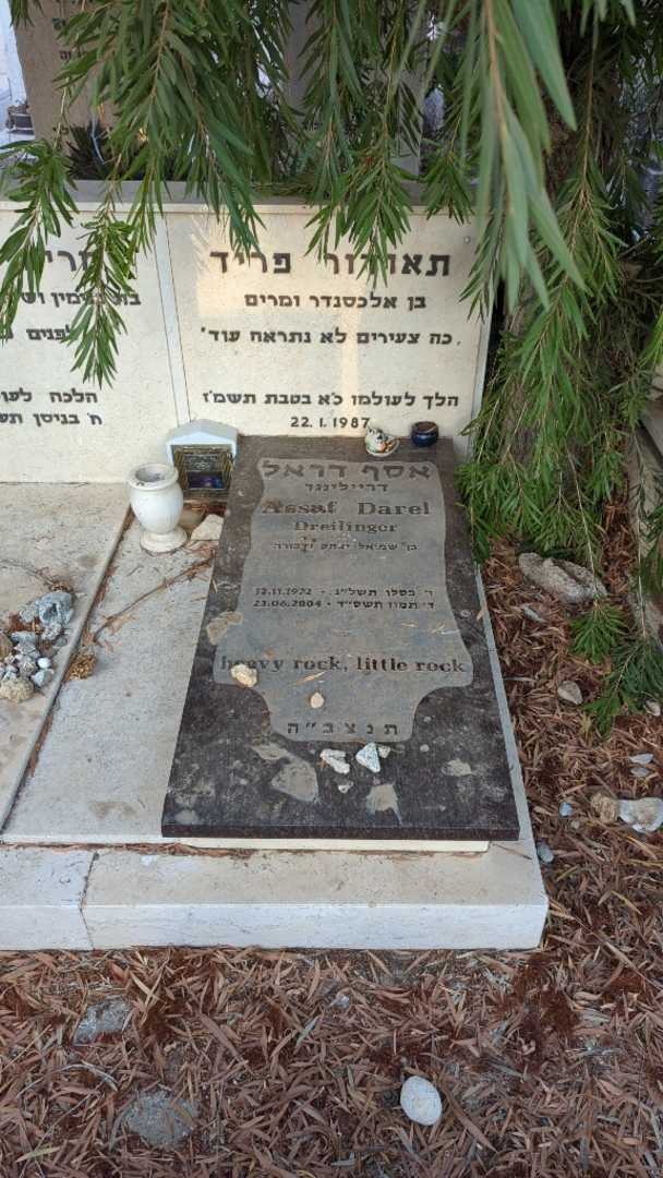 קברו של תאודור פריד. תמונה 1