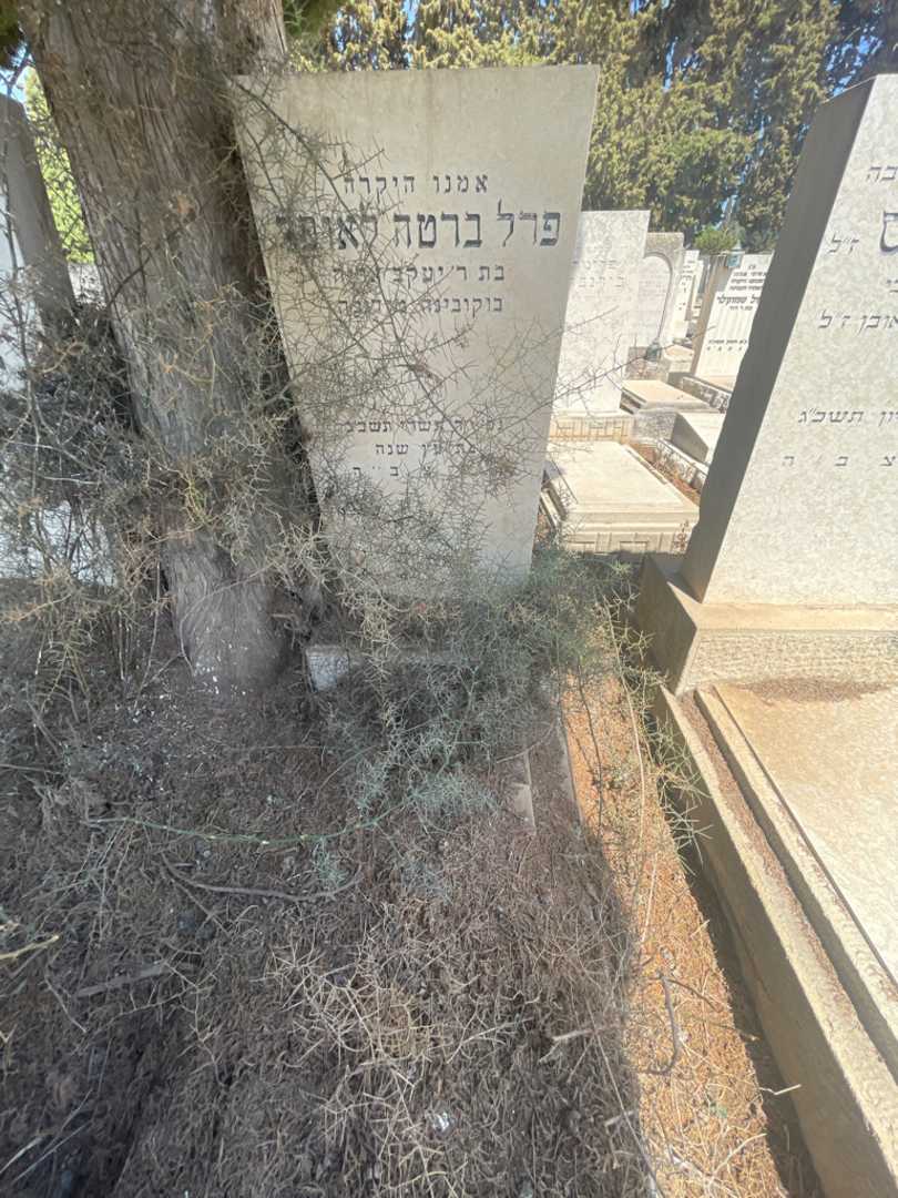 קברו של פרל ברטה לאופר. תמונה 1