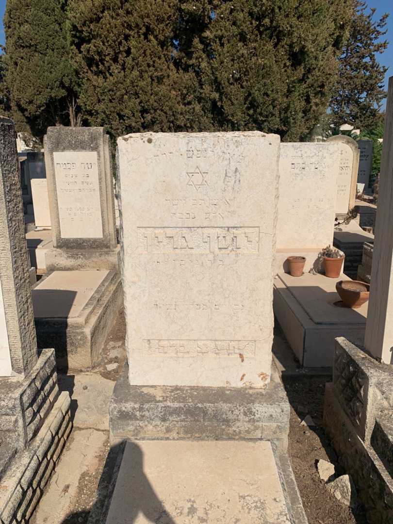 קברו של יוסף גרין