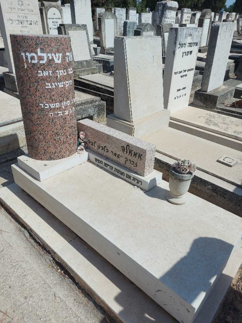 קברו של לאה שילמן. תמונה 2