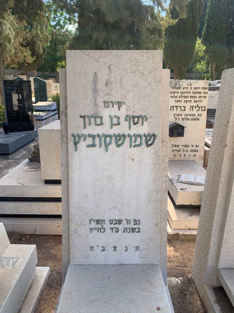 קברו של יוסף שמושקוביץ