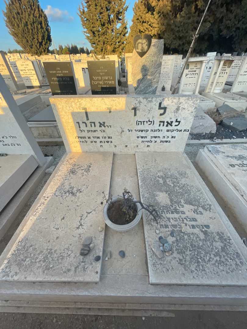 קברו של אהרן לוין. תמונה 1