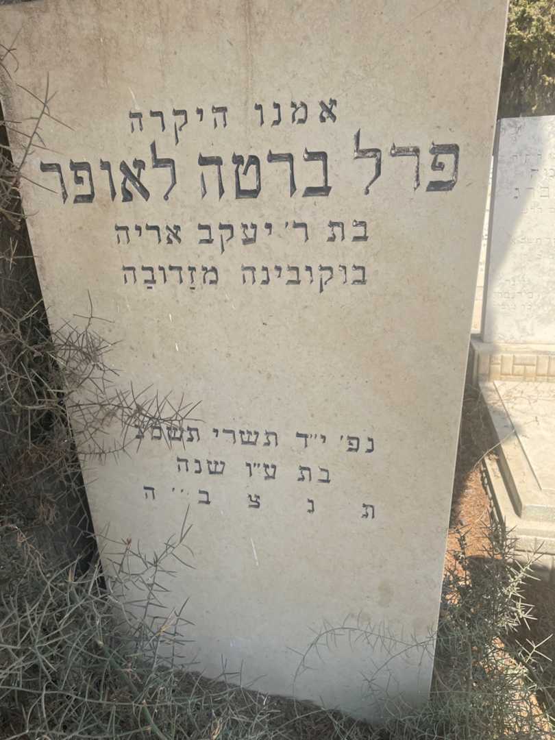 קברו של פרל ברטה לאופר. תמונה 2