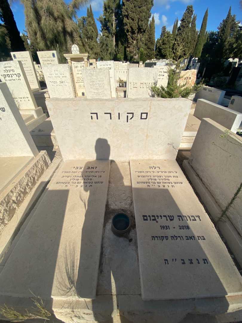 קברו של דבורה שרייבום. תמונה 2