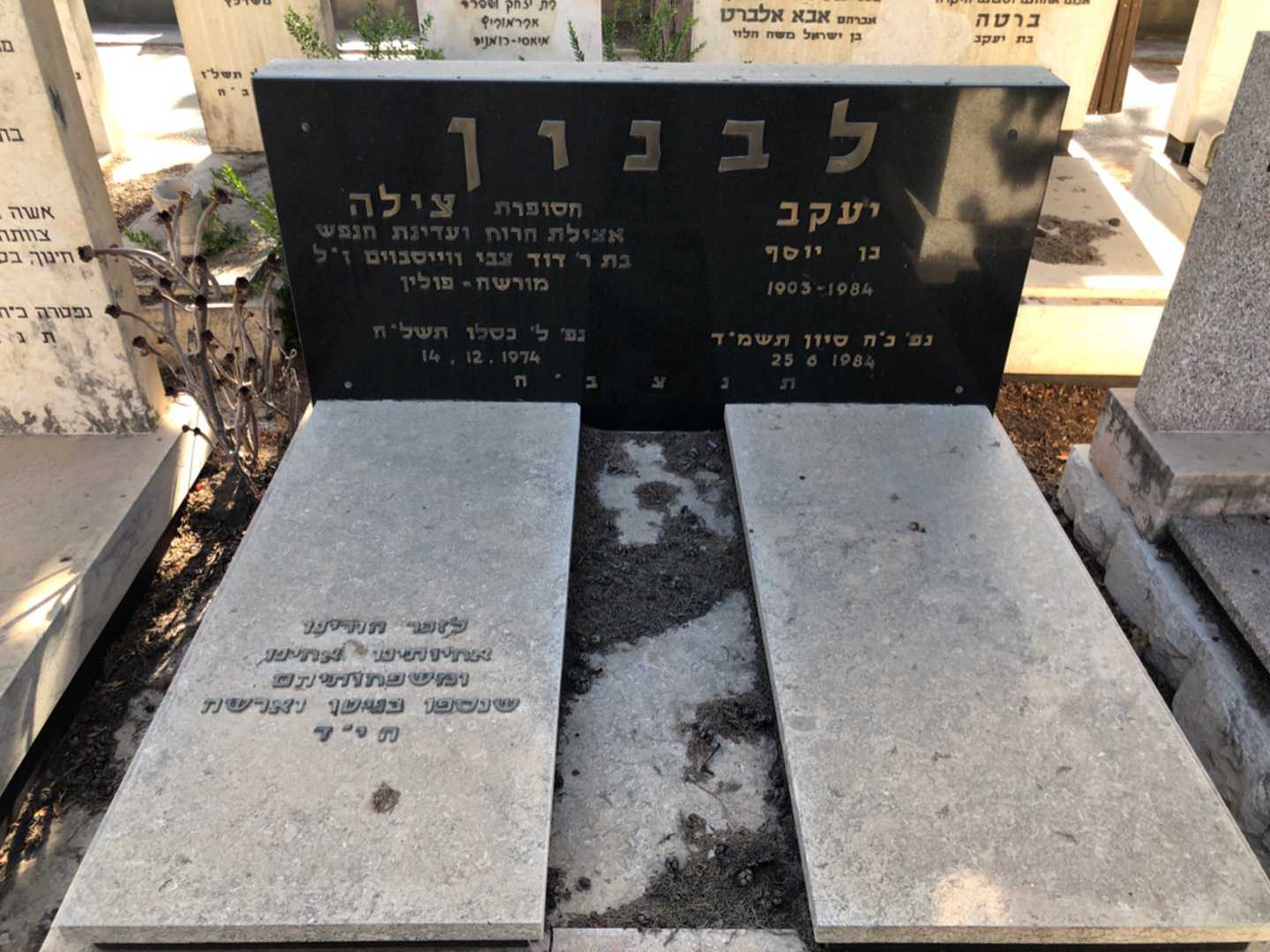 קברו של יעקב לבנון. תמונה 2