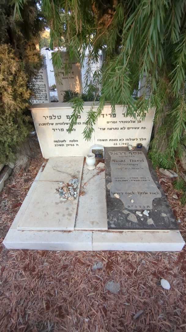 קברו של תאודור פריד. תמונה 2