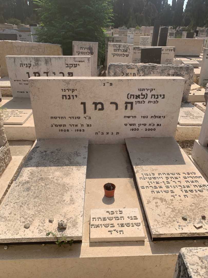 קברו של אגרונום אברהם לנמן. תמונה 2