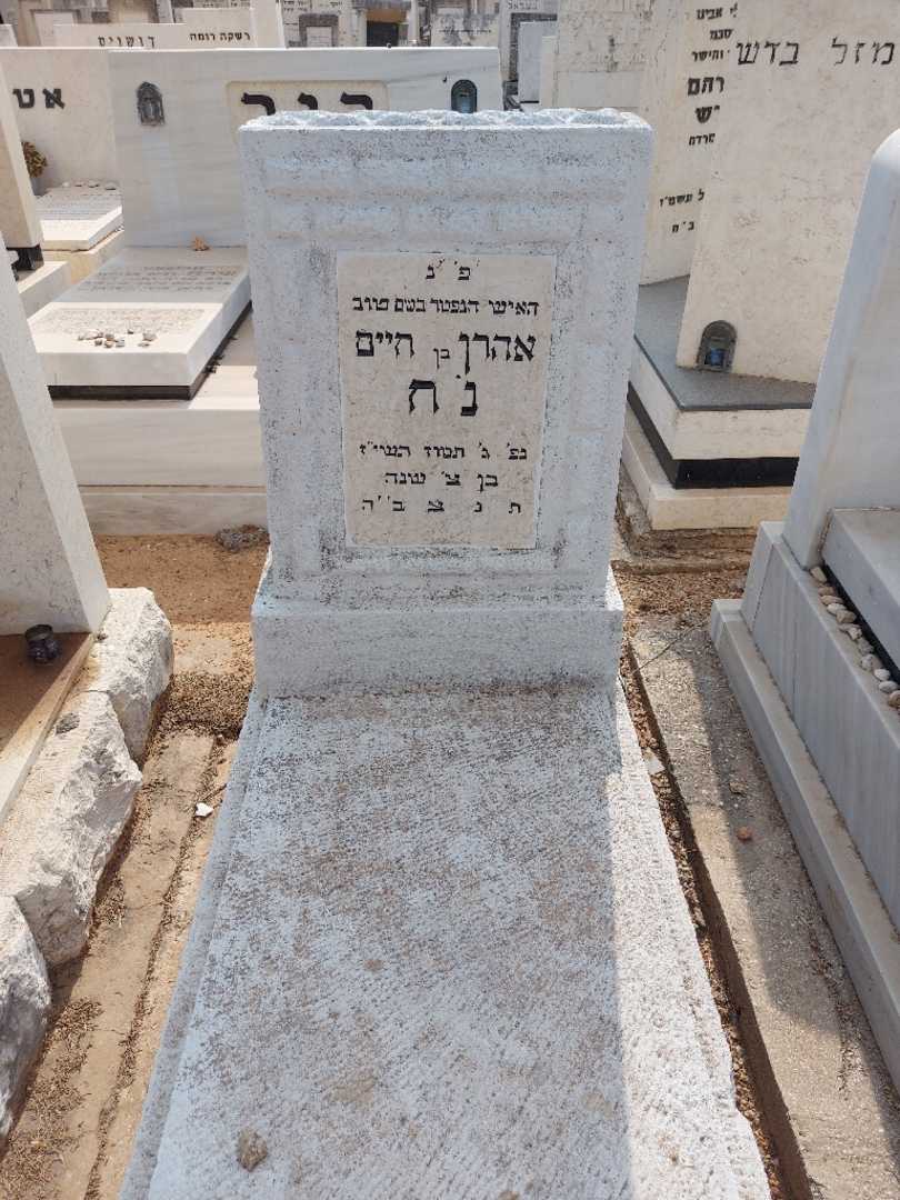 קברו של אהרן נח