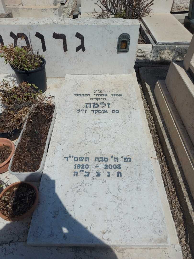 קברו של זלמה גרומר. תמונה 2