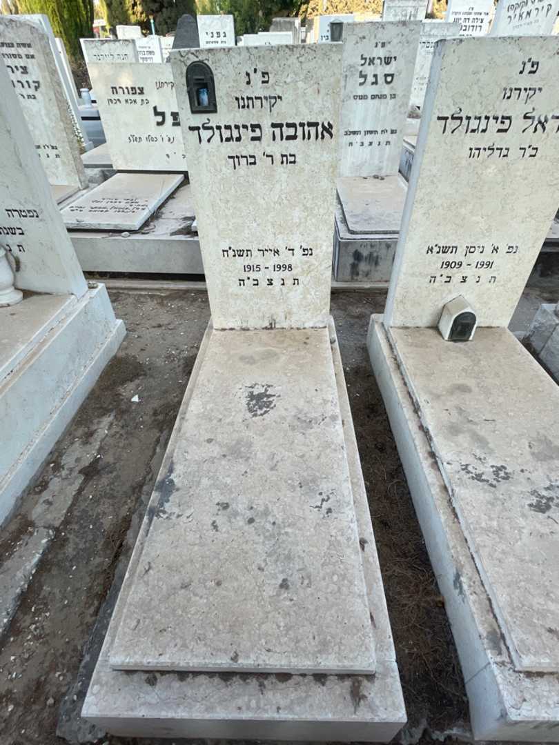 קברו של אהובה פינגולד. תמונה 2