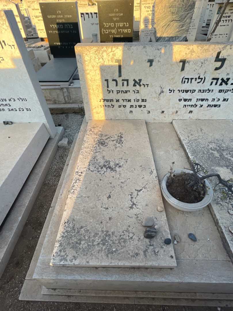 קברו של אהרן לוין. תמונה 2