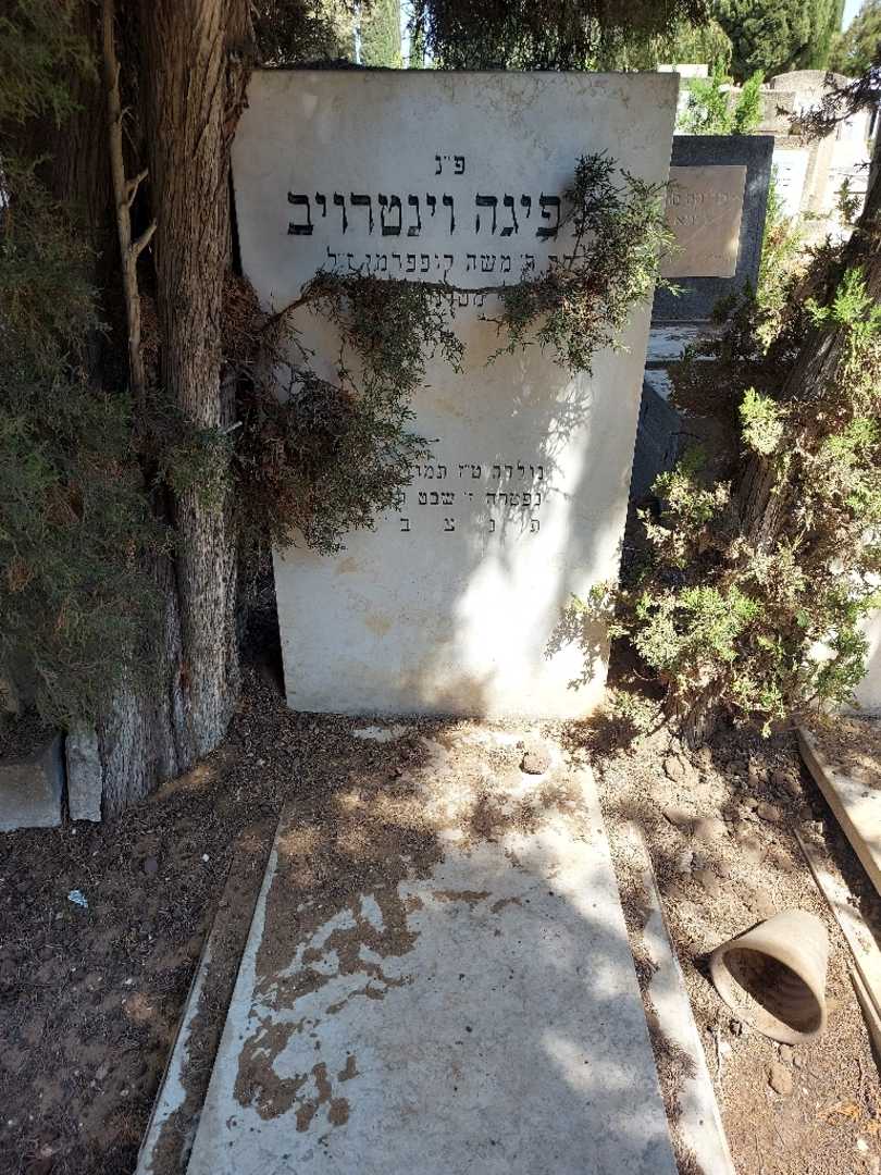 קברו של פיגה וינטרויב