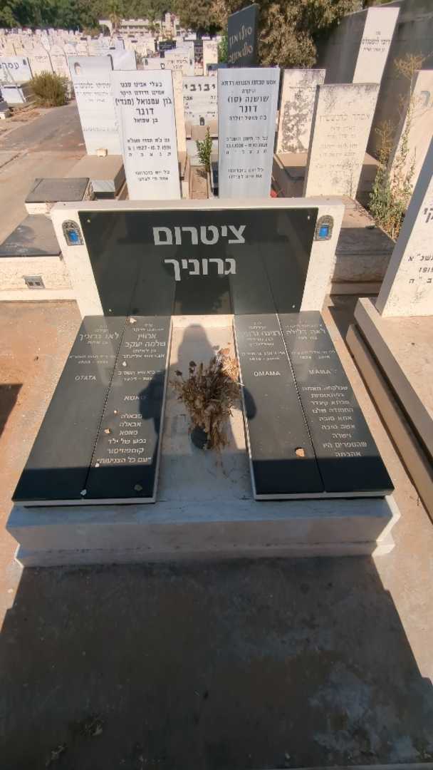 קברו של ארווין שלמה יעקב ציטרום גרוניך. תמונה 2