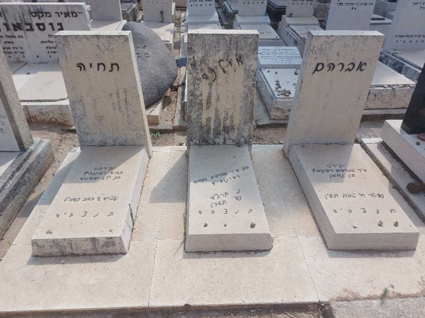 קברו של תחיה רבינוביץ. תמונה 1
