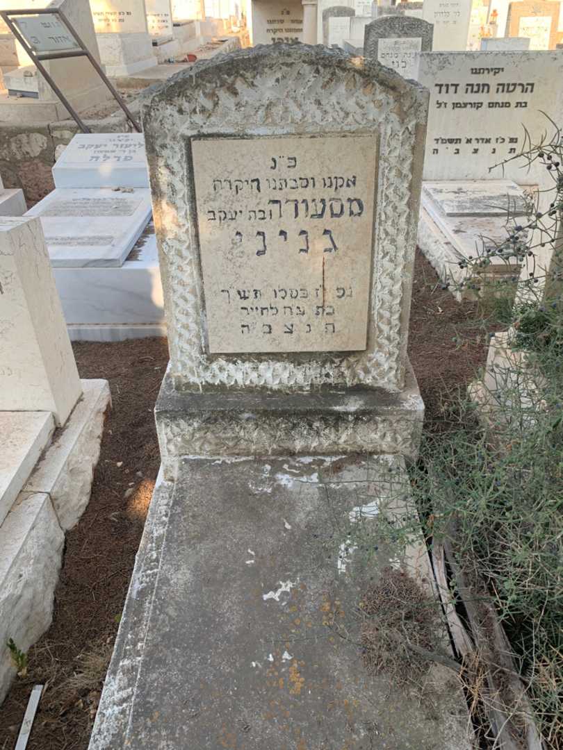 קברו של מסעודה גניני