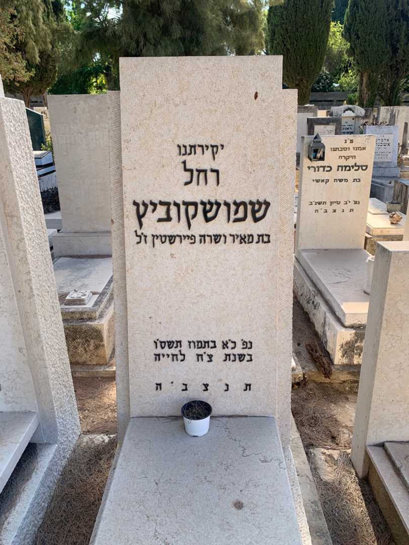 קברו של רחל שמושקוביץ