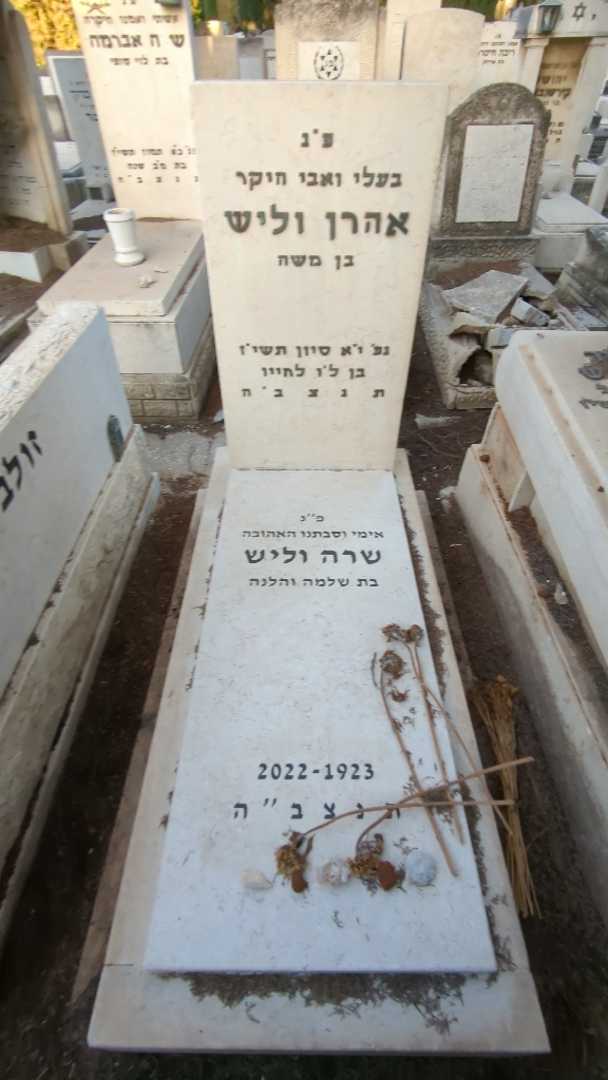 קברו של אהרן וליש