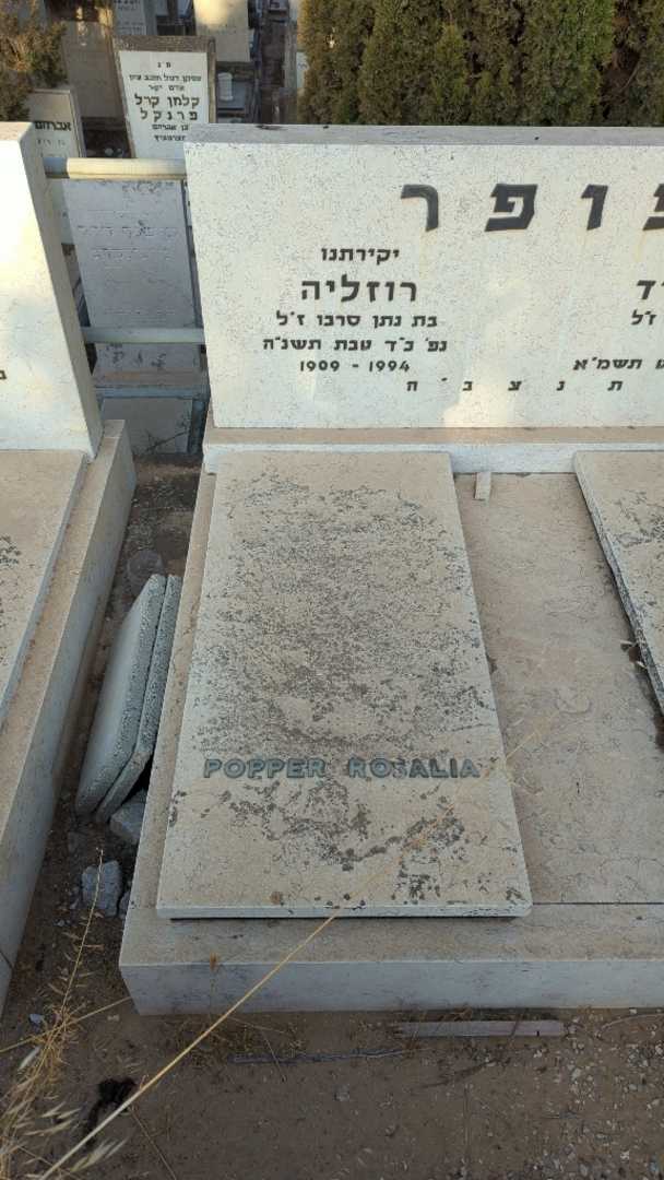 קברו של רוזליה פופר. תמונה 1