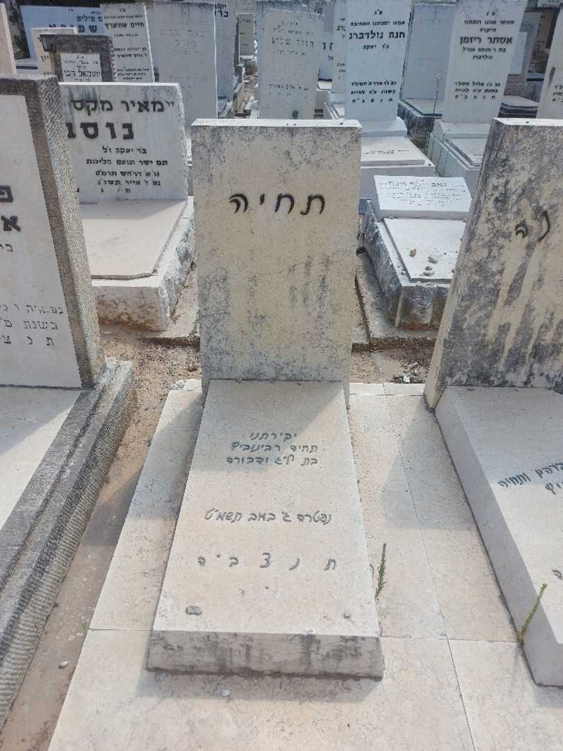 קברו של תחיה רבינוביץ. תמונה 2