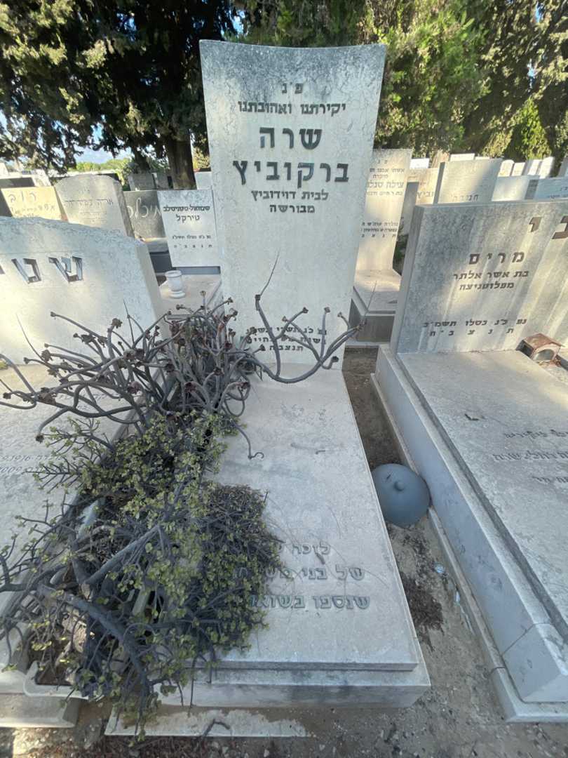 קברו של שרה ברקוביץ