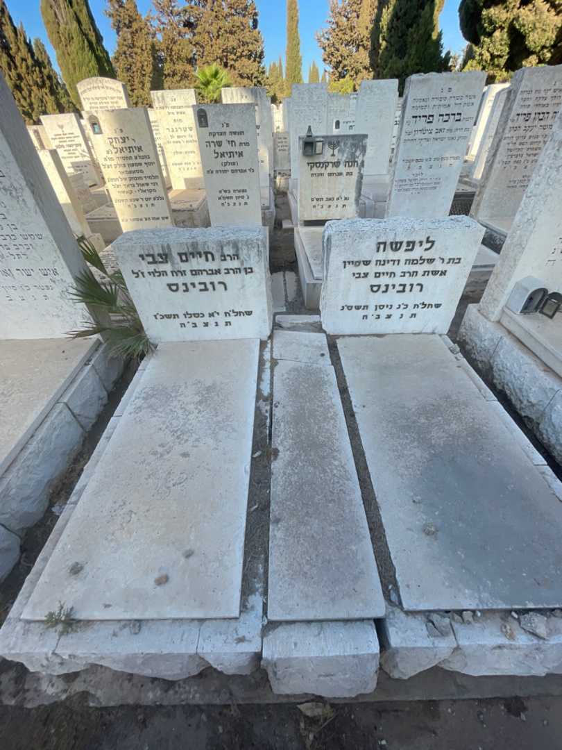 קברו של חיים צבי רובינס. תמונה 1