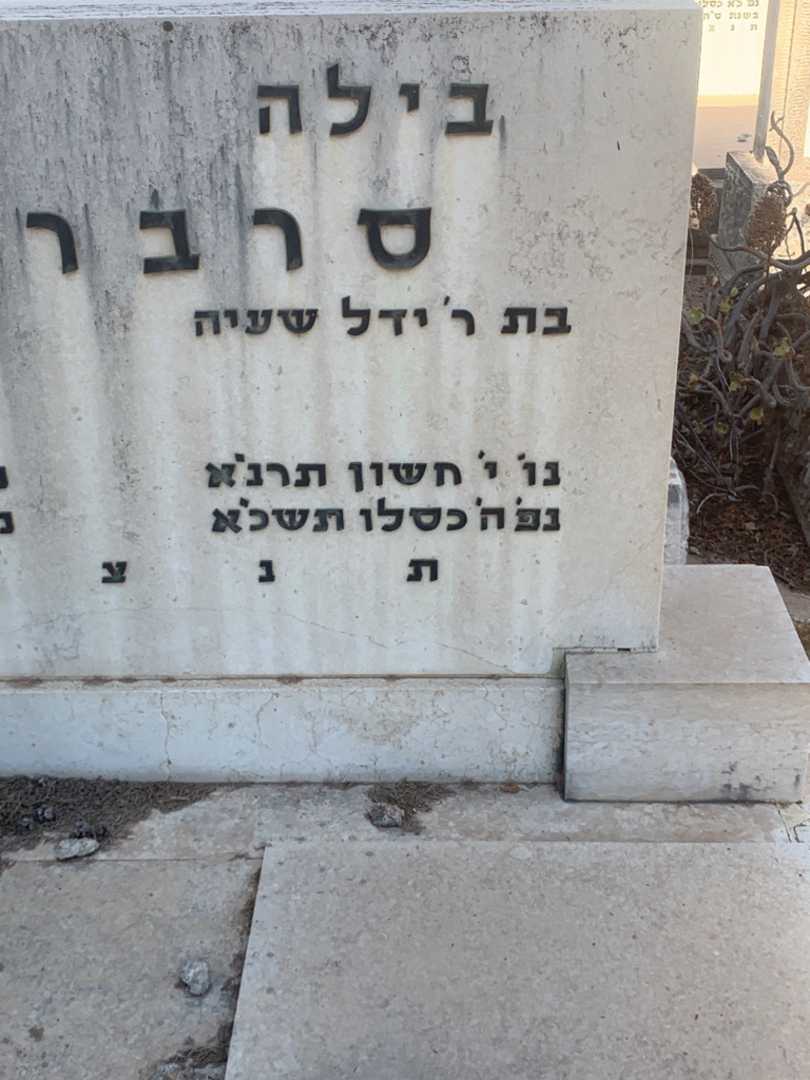 קברו של בילה סרברניק. תמונה 1