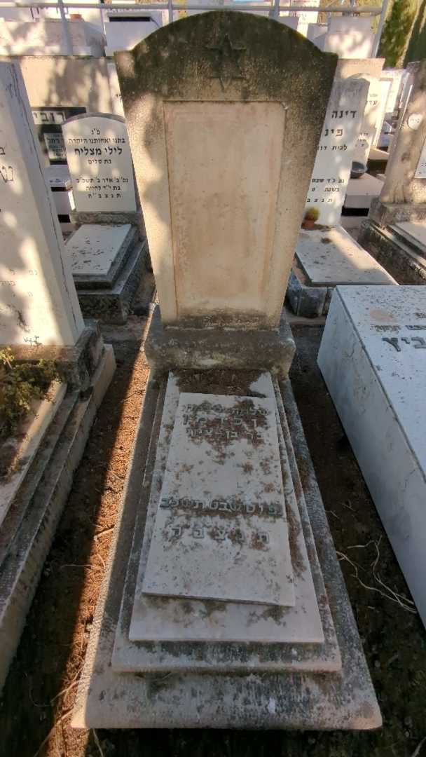 קברו של שלמה סלמון גולדמן