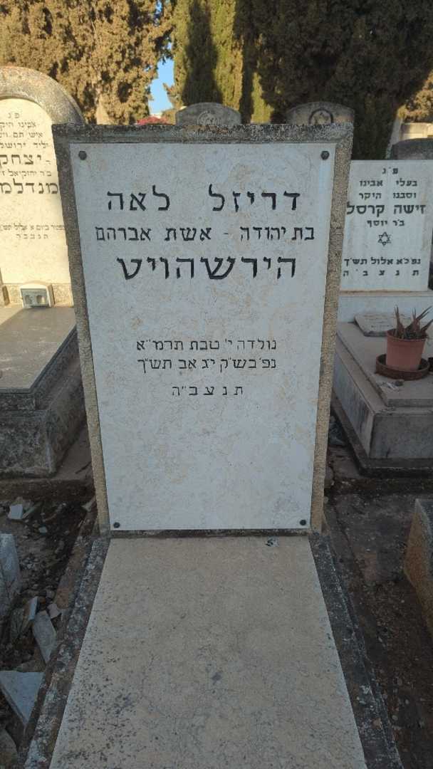 קברו של דריזל לאה הירשהויט