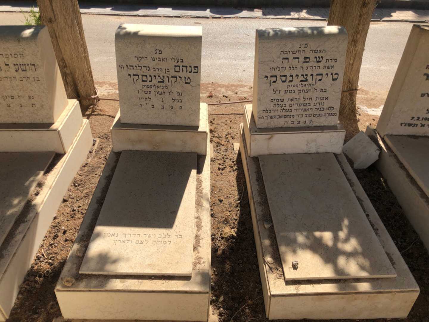 קברו של פנחס טיקוצ'ינסקי. תמונה 2