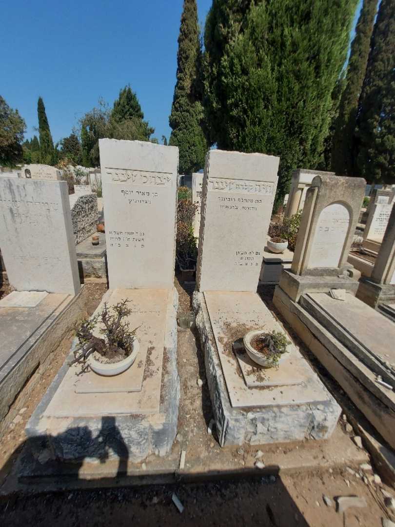 קברו של יצחק זינגר. תמונה 1