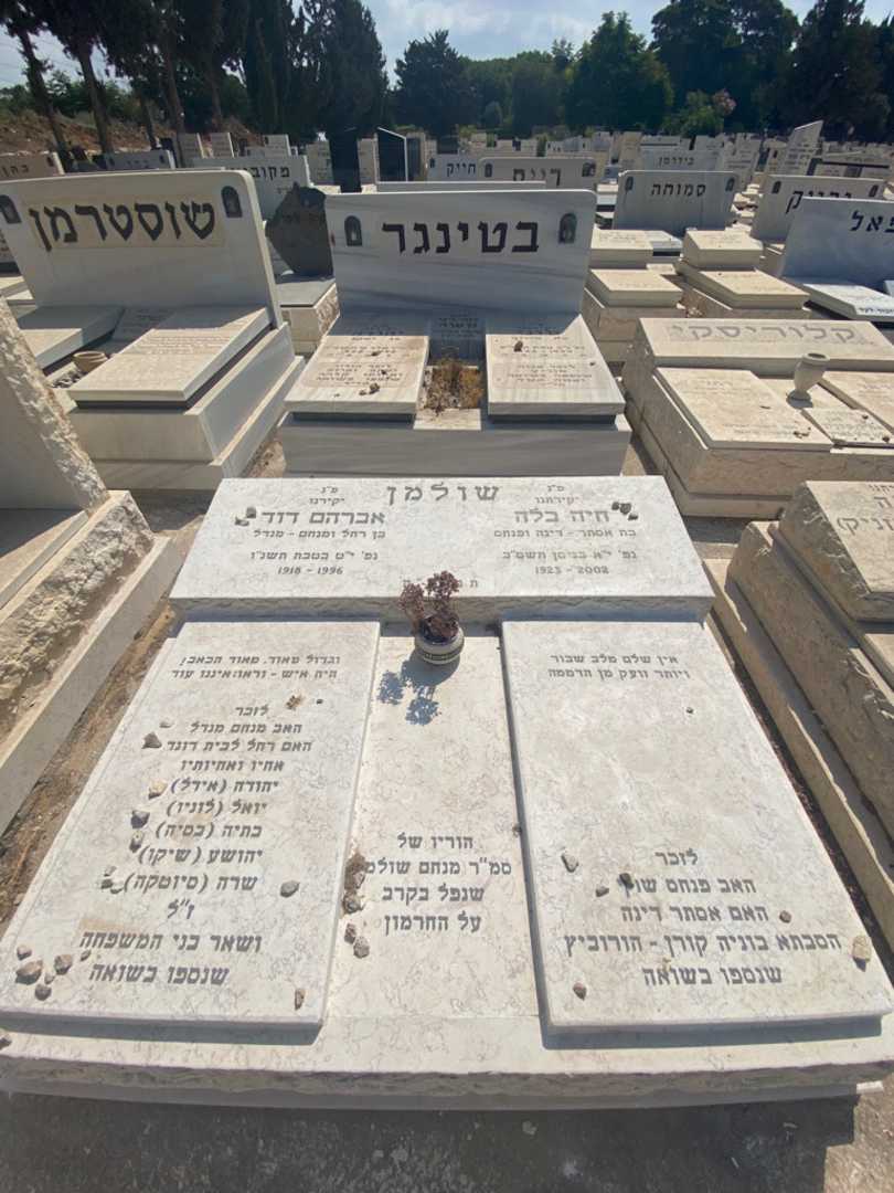 קברו של אברהם דוד שולמן. תמונה 1