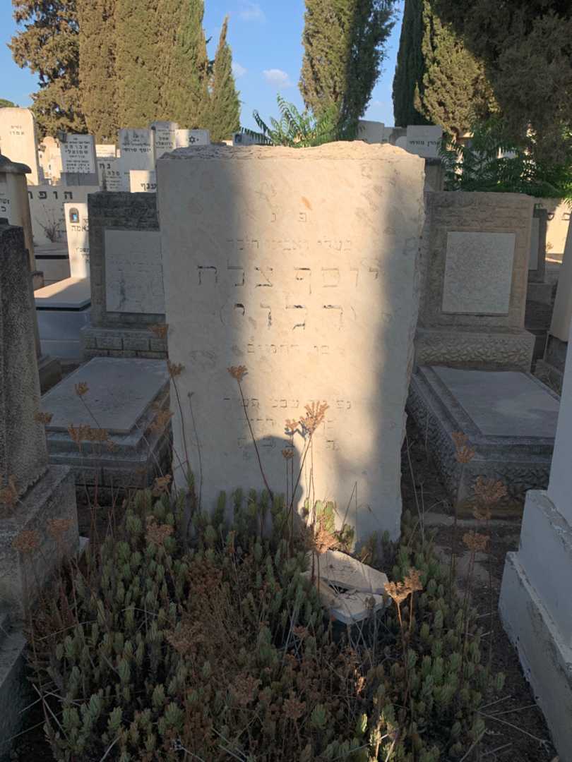 קברו של יוסף צלח (דלוי)