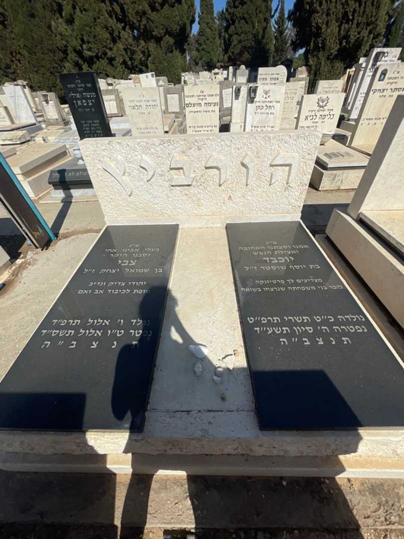 קברו של צבי הורביץ. תמונה 1