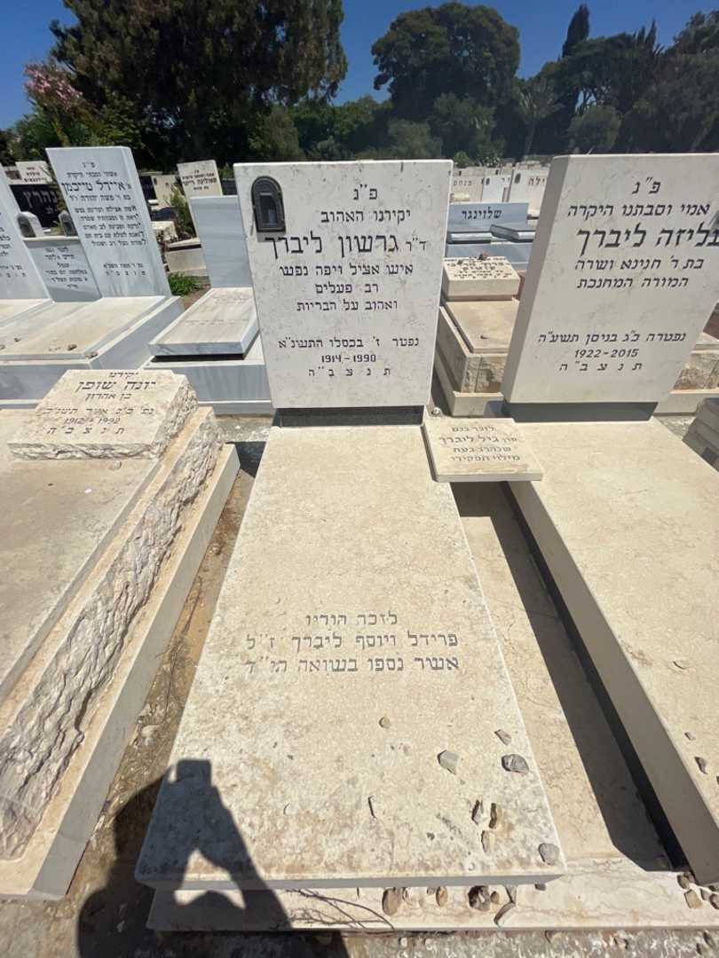 קברו של יוסף ליברך. תמונה 2