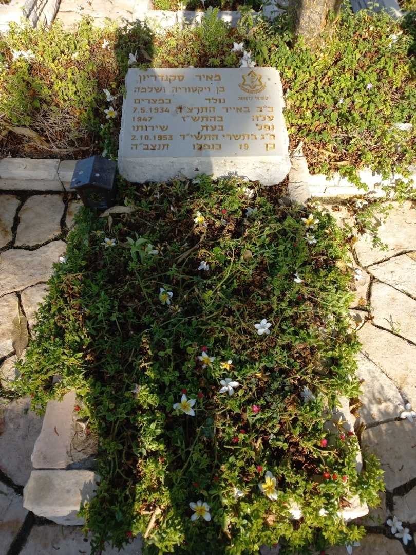קברו של מאיר סקנדריון