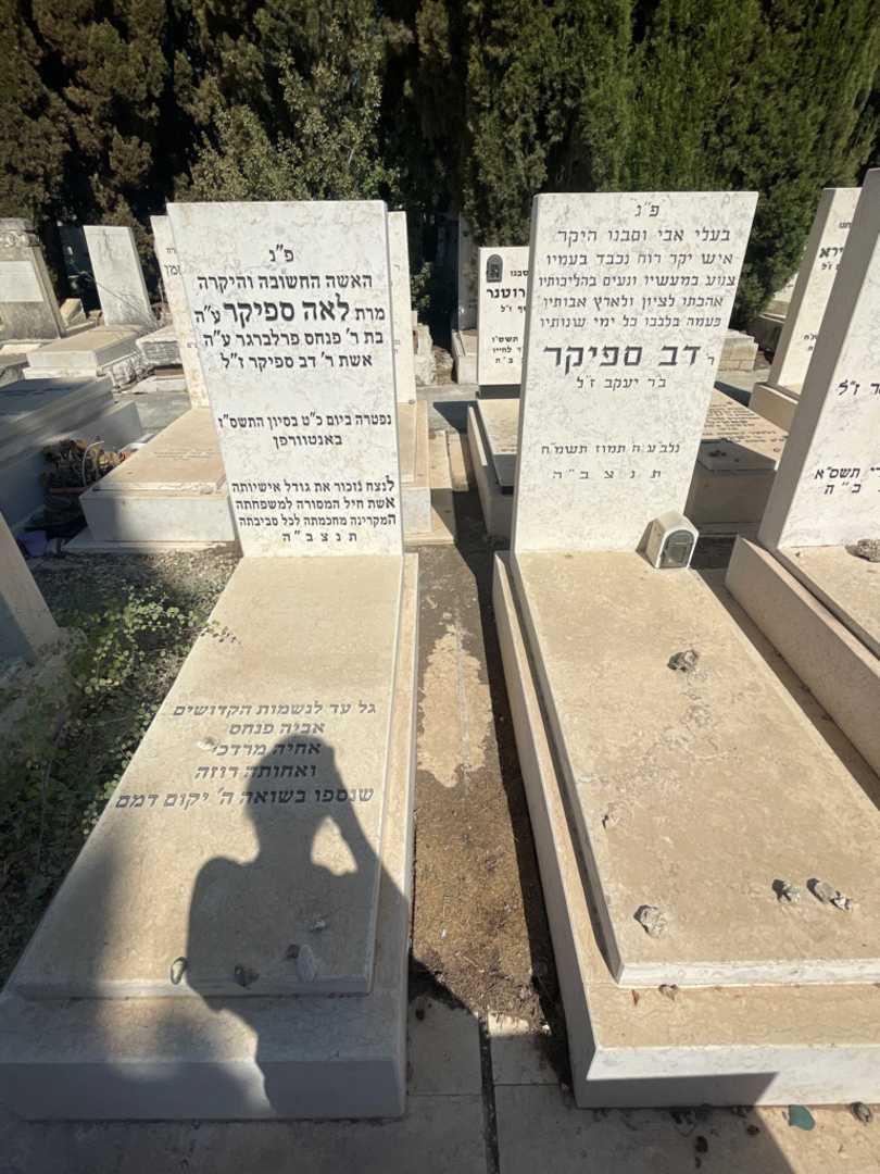 קברו של דב ספיקר. תמונה 1