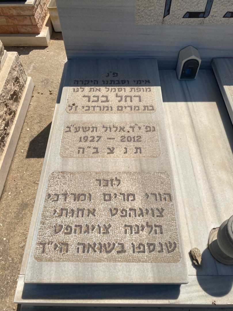 קברו של מרדכי צויגהפט. תמונה 1