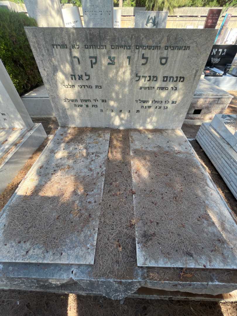 קברו של מנחם מנדל סלוצקר. תמונה 2
