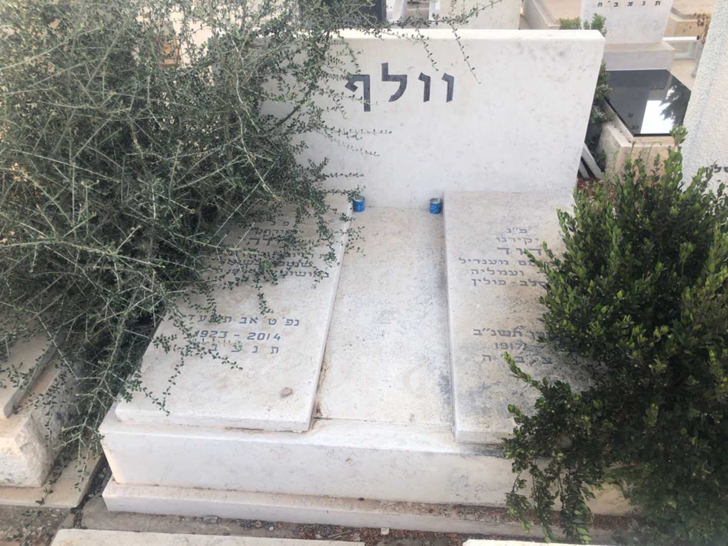 קברו של וולף. תמונה 1