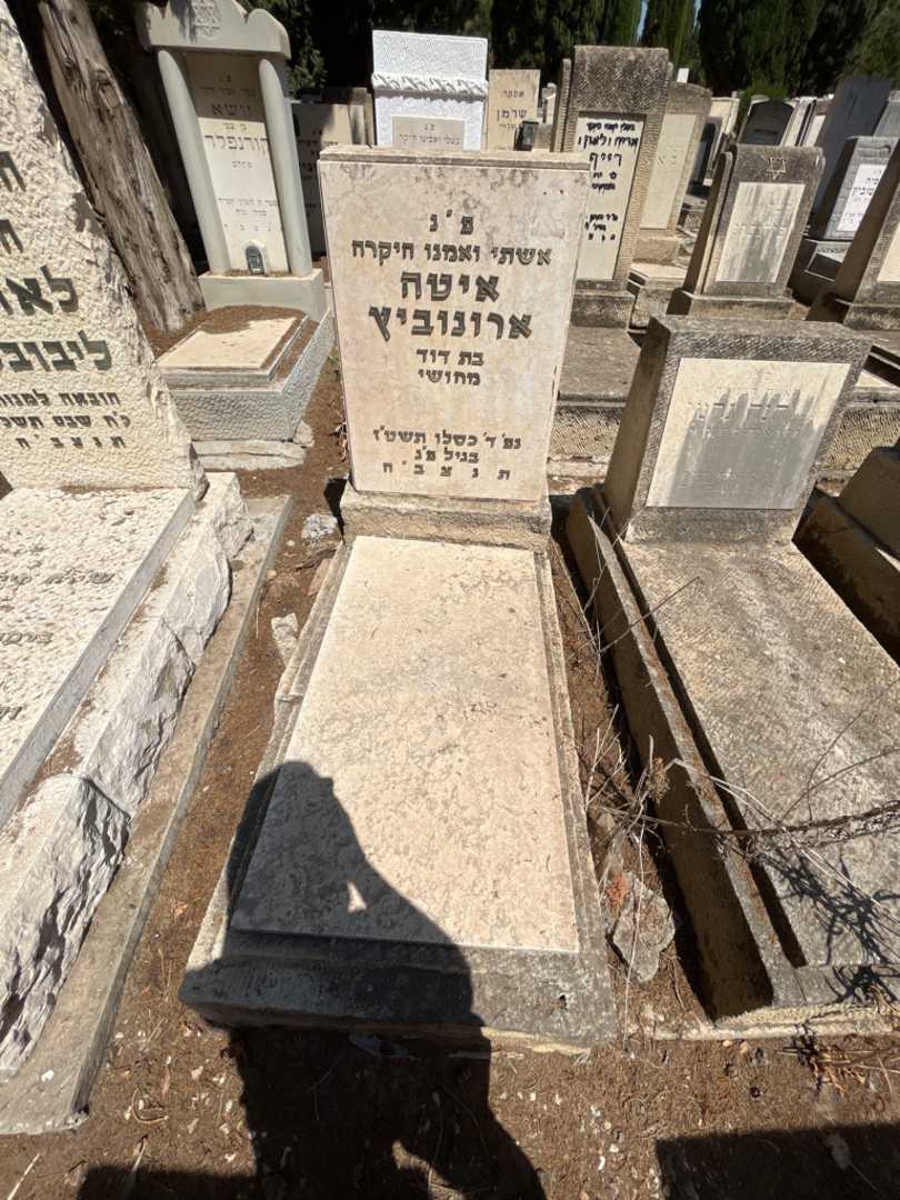 קברו של איטה ארונוביץ