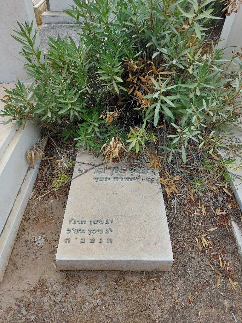 קברו של בר כצנלסון