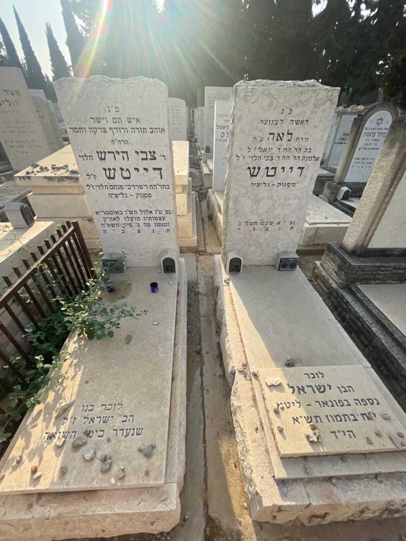 קברו של צבי הירש דייטש. תמונה 1