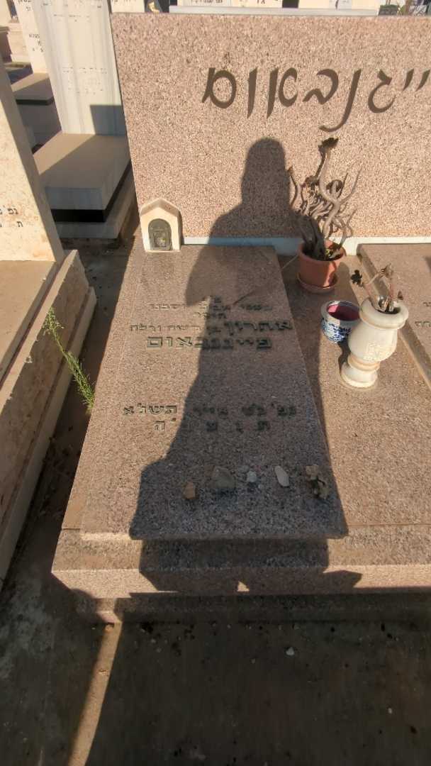 קברו של אהרון פייגנבאום. תמונה 1