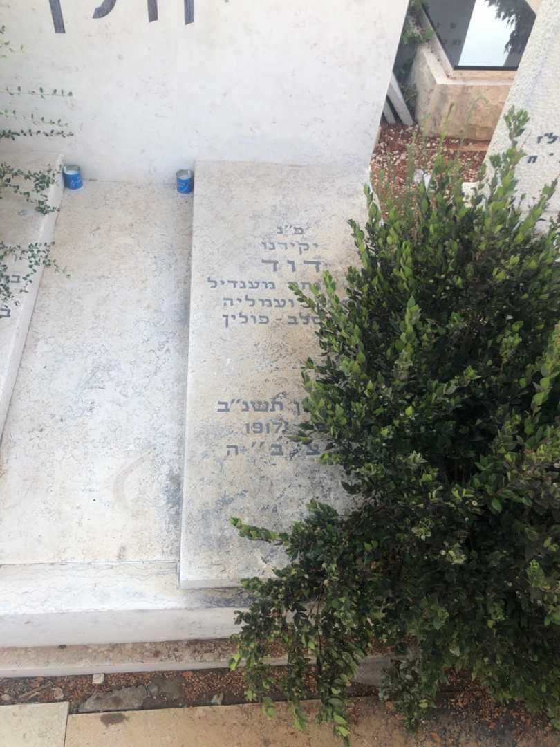 קברו של וולף. תמונה 2