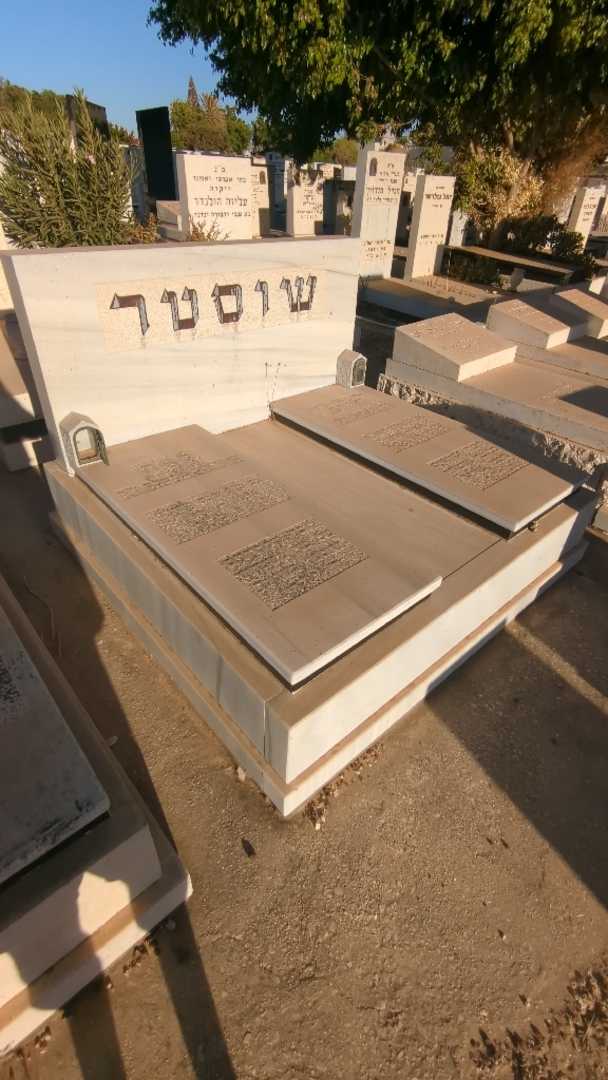 קברו של לאה שוסטר. תמונה 2