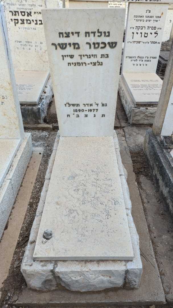 קברו של גולדה דיצה שכטר מישר