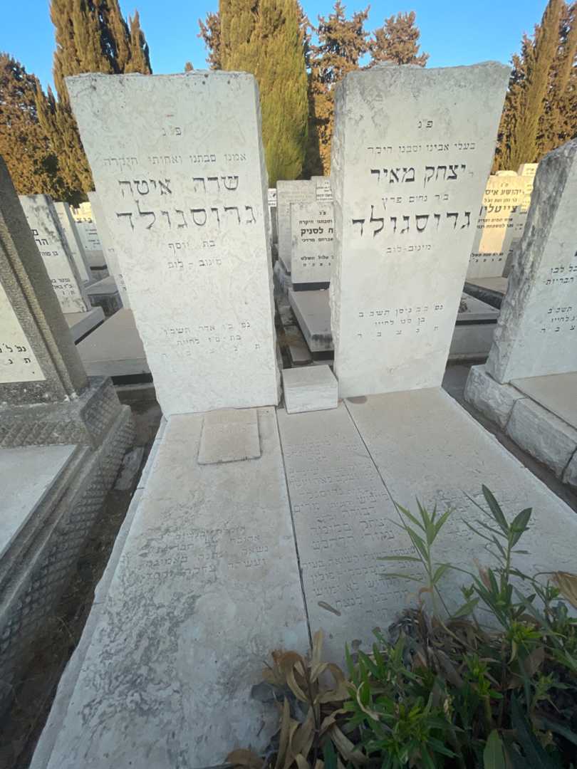קברו של שרה איטה גרוסגולד. תמונה 1