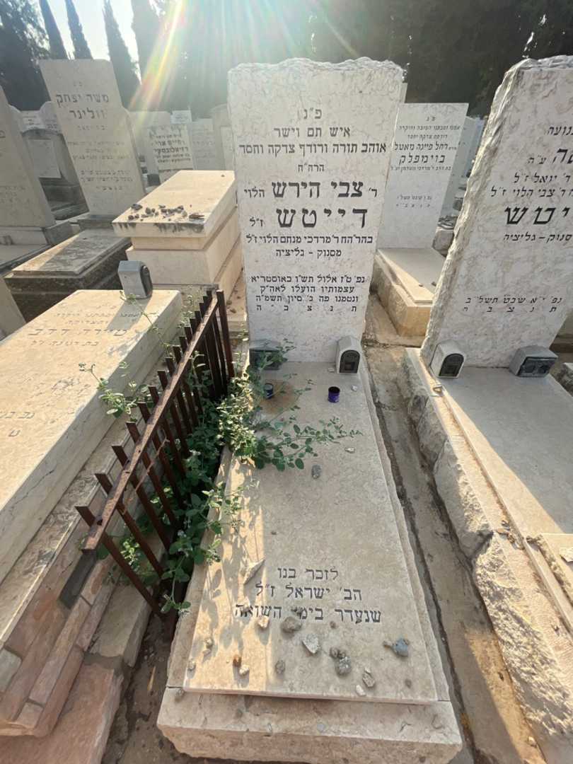 קברו של צבי הירש דייטש. תמונה 2