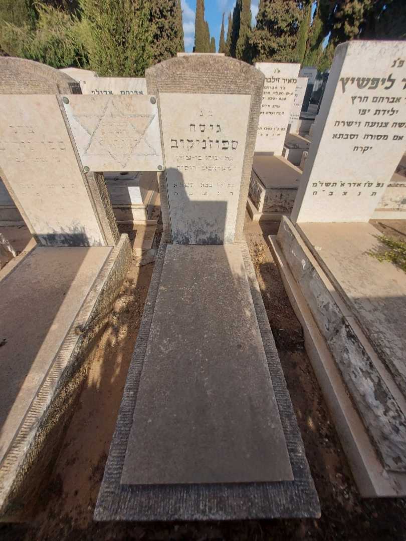 קברו של גיסה ספוז'ניקוב. תמונה 1